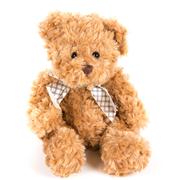 Teddy bear - brown