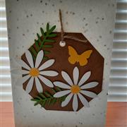 Seed paper card - daisies