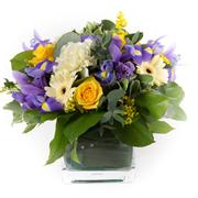Yellow &amp; Lilac Cube