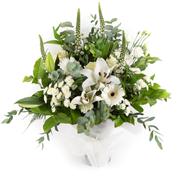 White delight