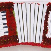accordian