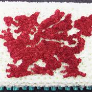 welsh dragon