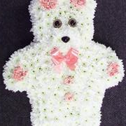 teddy bear pink