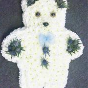 teddy bear blue