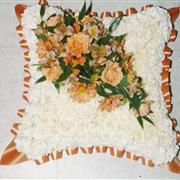 cushion 