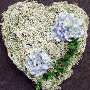 heart - gypsophila 