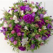 skye posy