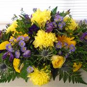 purple &amp; yellow coffin spray