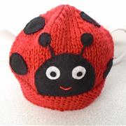 a ladybird