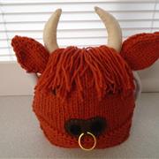 a highland cow
