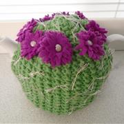 a cactus
