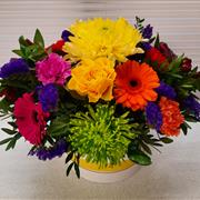 Colour Burst