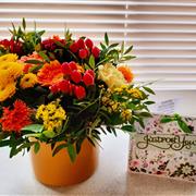 Sunset seed card bundle