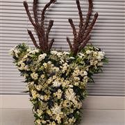 stag head