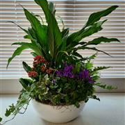 Planted bowl