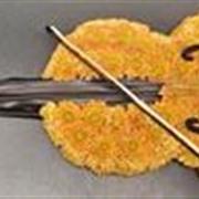 fiddle 