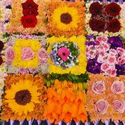 flower blanket