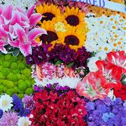flower blanket (patchwork)
