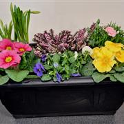 Spring planter - trough
