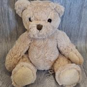 Brown bear