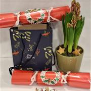 Hyacinth gift bag