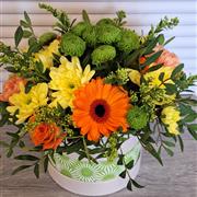Citrus hatbox