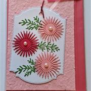Chrysanthemum