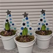 Hyacinth trio - white