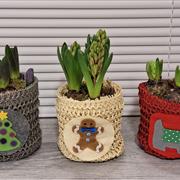 Hyacinth - pot 