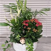 Planted bowl - christmas