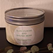 Rain clouds and salted moss