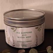 Sea samphire and watermint