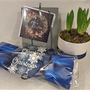 Hyacinth gift bag c