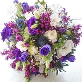 fwthumbDSC00303.jpg