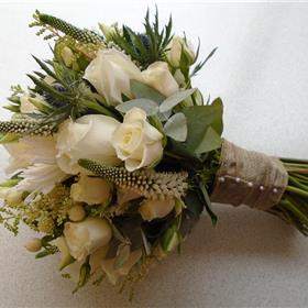 fwthumbDSC00714.jpg